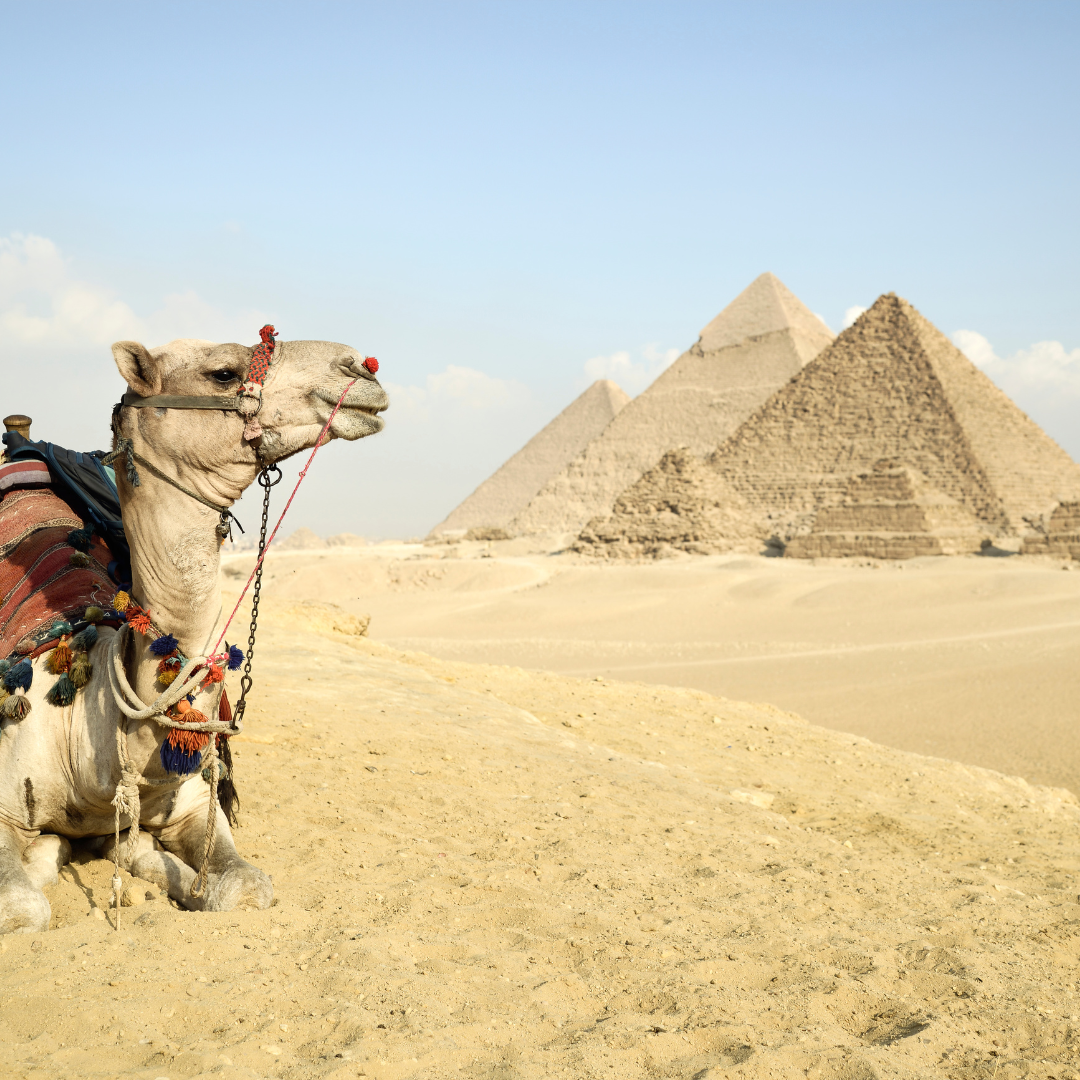 Half Day Private Guided Tour to Giza Pyramids & Sphinx