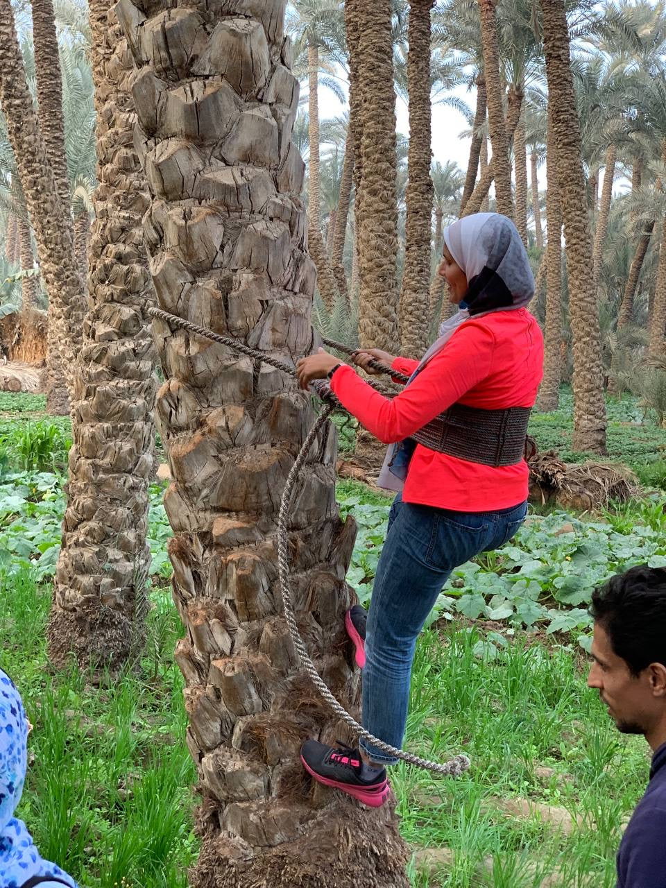 Spend Day at Dahshur Countryside 🌾