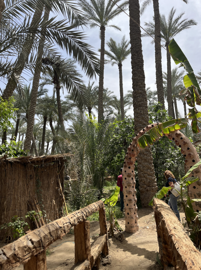Spend Day at Dahshur Countryside 🌾
